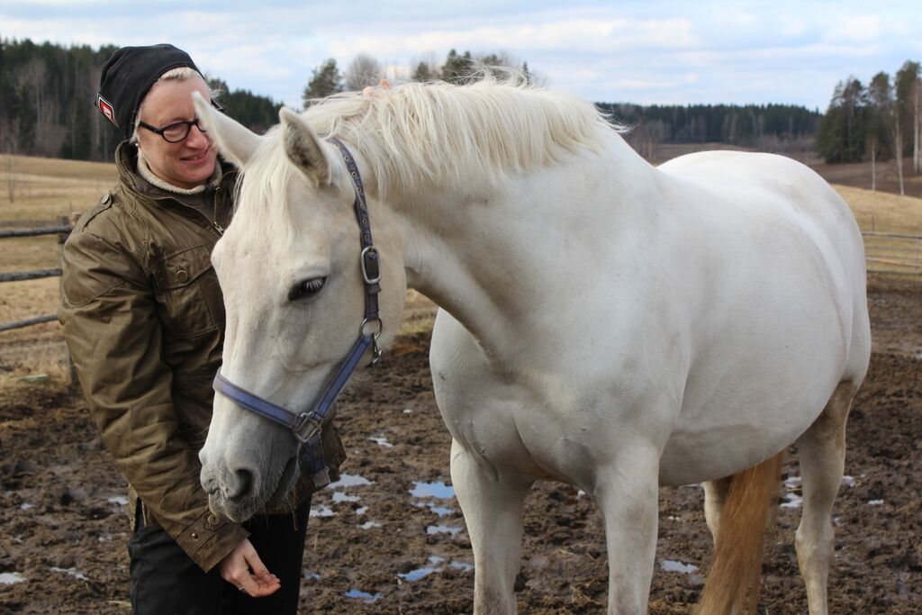 Millainen Suomen hevosmaailman pitäisi olla?